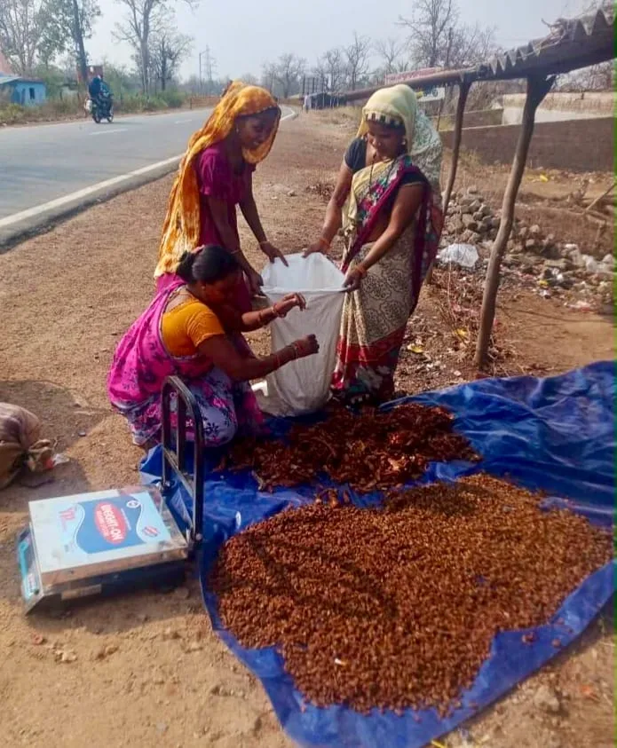 भिलाई को मिली 50 इलेक्ट्रिक बसों की सौगात, नवंबर से सड़कों पर दौड़ेंगी 20 ई-बसें