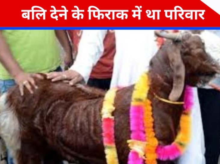 अंधविश्वास का भयानक खेल ! बेटे के नाम पर 15 जीवों की बलि देने के फिराक में था परिवार, पुलिस ने कैसे रोका खेल ?