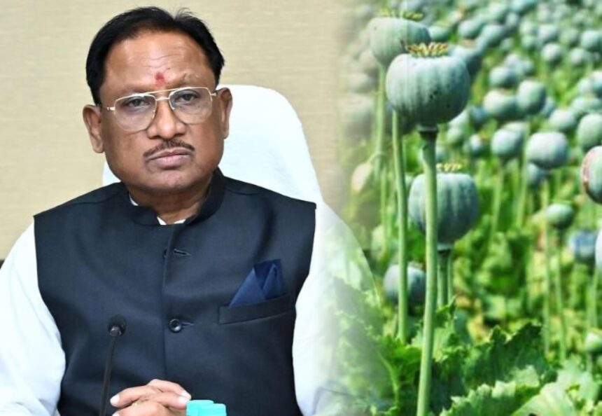 अफीम की अवैध खेती पर CM विष्णुदेव का कड़ा रुख, सभी कलेक्टरों को दिए यह निर्देश