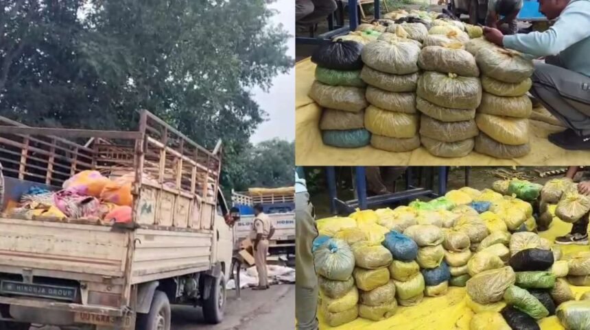 छत्तीसगढ़ में यहां पकड़ाया दो पिकअप भरकर गांजा, 8 क्विंटल माल जब्त, 7 हिरासत में